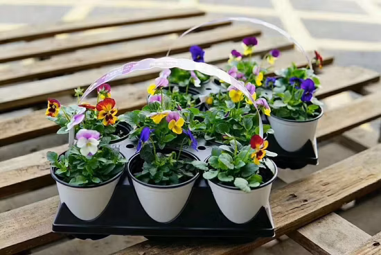 熱成形可能な植木鉢、丸い苗床ポット、黒いプラスチック製のガーデン プランター